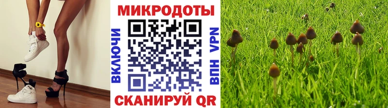 Псилоцибиновые грибы GOLDEN TEACHER  Сасово 